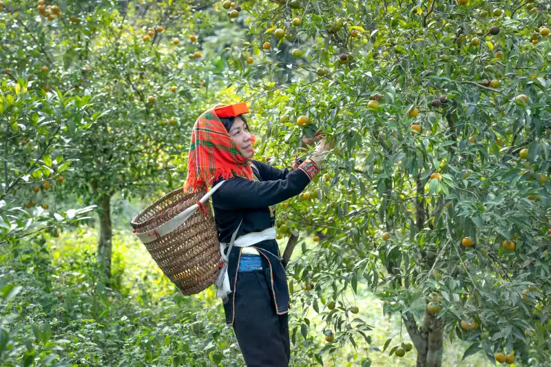 武汉小虎家居五金配件材质对比:不锈钢与铝合金应用场景分析
